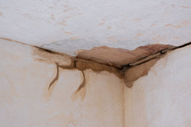 Sewage cleanup and water damage restoration in NC