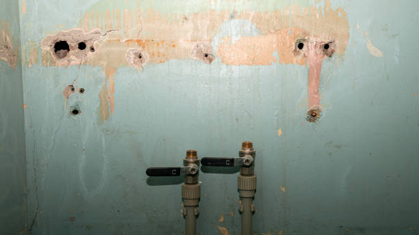 Best Basement water damage restoration  in Yadkinville, NC