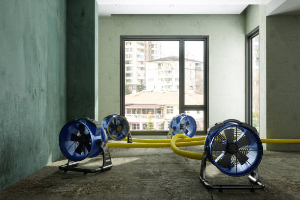 Best Water damage contractors near me  in Yadkinville, NC