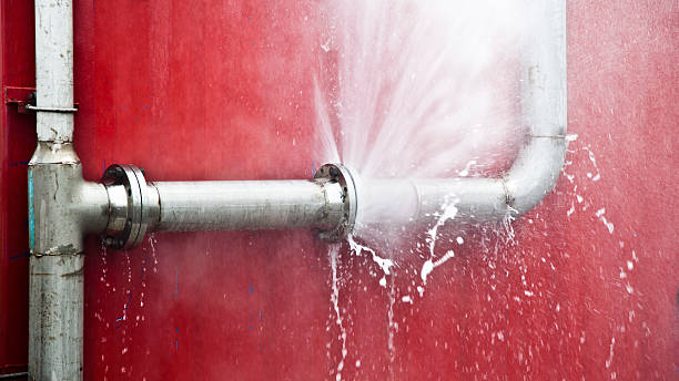 Best Flood damage cleanup  in Yadkinville, NC